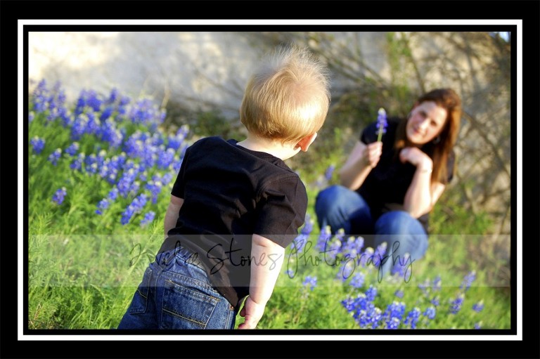 nunn-bluebonnets